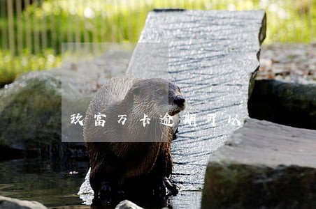 玖富万卡逾期可以 玖富万卡逾期可以