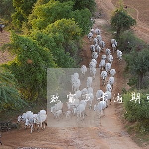 玖富万卡逾期可以不还吗 玖富万卡逾期可以不还吗