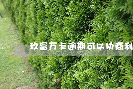 玖富万卡逾期可以协商利息 玖富万卡逾期可以协商利息