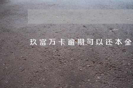 玖富万卡逾期可以还本金吗 玖富万卡逾期可以还本金吗