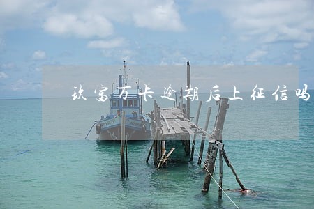 玖富万卡逾期后上征信吗 玖富万卡逾期后上征信吗