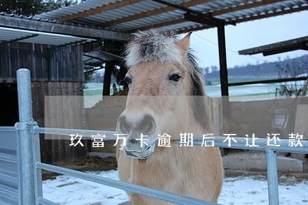玖富万卡逾期后不让还款 玖富万卡逾期后不让还款