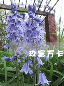 玖富万卡逾期后会上征信吗 玖富万卡逾期后会上征信吗
