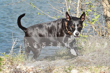 玖富万卡逾期后多久能更新