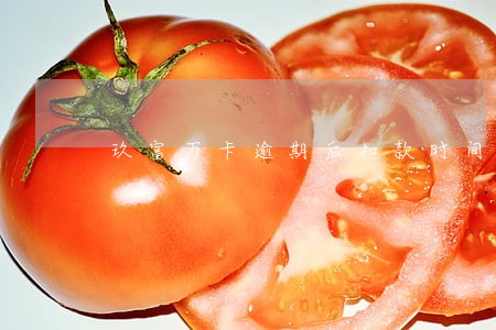 玖富万卡逾期后扣款时间 玖富万卡逾期后扣款时间
