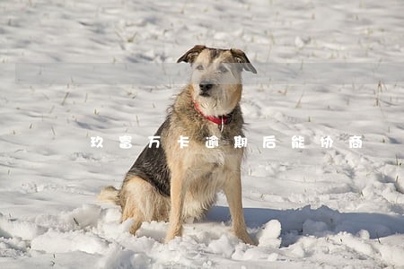 玖富万卡逾期后能协商 玖富万卡逾期后能协商