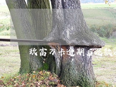 玖富万卡逾期后还款还上征信嘛 玖富万卡逾期后还款还上征信嘛