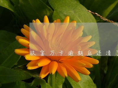 玖富万卡逾期后还清了征信多久 玖富万卡逾期后还清了征信多久