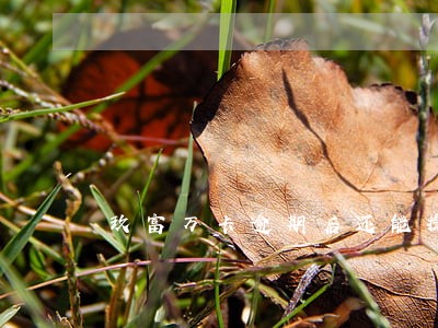玖富万卡逾期后还能提额吗 玖富万卡逾期后还能提额吗