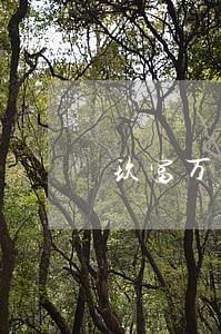 玖富万卡逾期后额度被冻结 玖富万卡逾期后额度被冻结