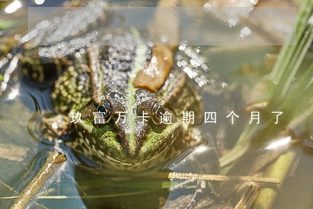 玖富万卡逾期四个月了 玖富万卡逾期四个月了