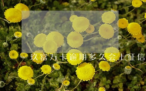 玖富万卡逾期多久会上征信吗 玖富万卡逾期多久会上征信吗