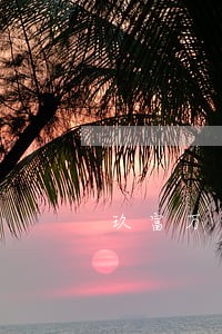 玖富万卡逾期多久会上线 玖富万卡逾期多久会上线