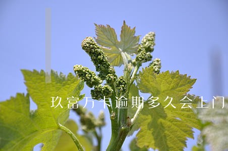 玖富万卡逾期多久会上门催债 玖富万卡逾期多久会上门催债