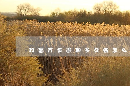 玖富万卡逾期多久会怎么样 玖富万卡逾期多久会怎么样