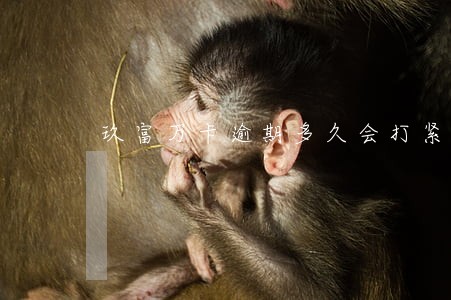玖富万卡逾期多久会打紧急联系人 玖富万卡逾期多久会打紧急联系人