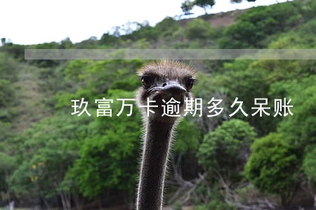 玖富万卡逾期多久呆账 玖富万卡逾期多久呆账