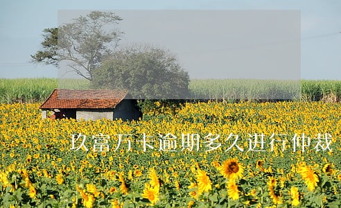 玖富万卡逾期多久进行仲裁 玖富万卡逾期多久进行仲裁