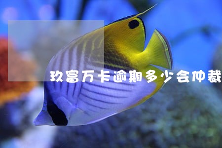 玖富万卡逾期多少会仲裁 玖富万卡逾期多少会仲裁