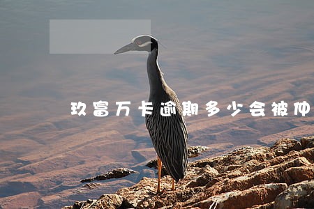玖富万卡逾期多少会被仲裁