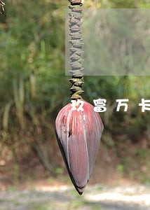 玖富万卡逾期多少天会上黑名单 玖富万卡逾期多少天会上黑名单