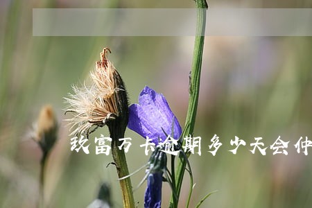 玖富万卡逾期多少天会仲裁 玖富万卡逾期多少天会仲裁