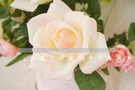 玖富万卡逾期多少天没事 玖富万卡逾期多少天没事