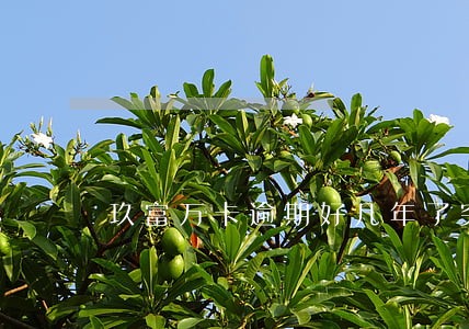 玖富万卡逾期好几年了突然催我了 玖富万卡逾期好几年了突然催我了