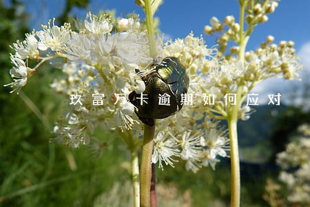 玖富万卡逾期如何应对 玖富万卡逾期如何应对