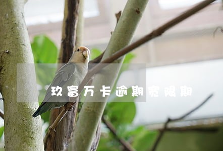玖富万卡逾期宽限期 玖富万卡逾期宽限期
