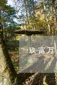 玖富万卡逾期对大数据有影响吗 玖富万卡逾期对大数据有影响吗