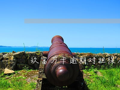 玖富万卡逾期对担保人有影响吗 玖富万卡逾期对担保人有影响吗