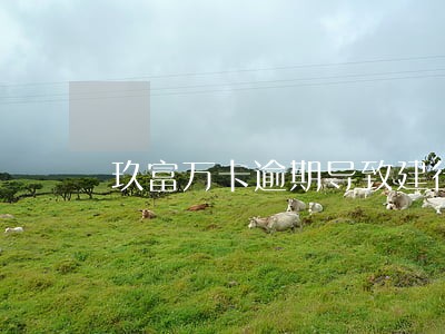 玖富万卡逾期导致建行信用卡冻结 玖富万卡逾期导致建行信用卡冻结