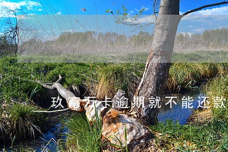 玖富万卡逾期就不能还款了吗 玖富万卡逾期就不能还款了吗