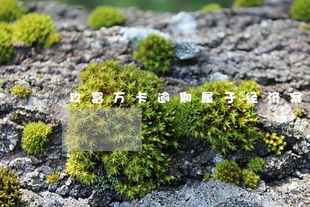 玖富万卡逾期属于经济案件吗 玖富万卡逾期属于经济案件吗