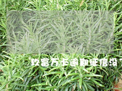 玖富万卡逾期征信没了 玖富万卡逾期征信没了