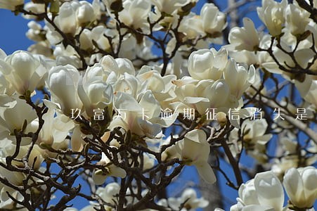 玖富万卡逾期征信消失是真的吗 玖富万卡逾期征信消失是真的吗