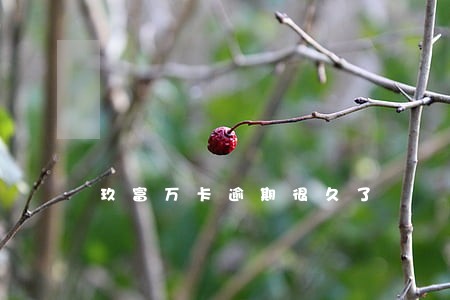 玖富万卡逾期很久了 玖富万卡逾期很久了