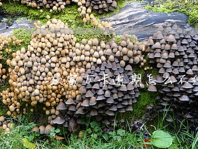 玖富万卡逾期怎么不给我打电话
