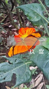 玖富万卡逾期怎么办怎样处理 玖富万卡逾期怎么办怎样处理
