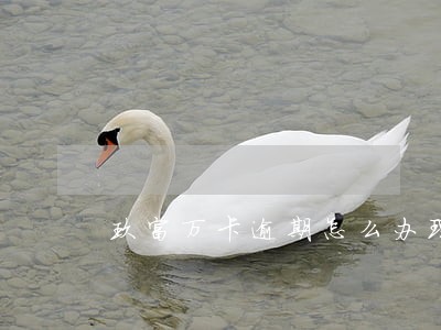 玖富万卡逾期怎么办理