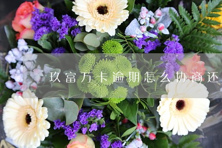 玖富万卡逾期怎么协商还本金 玖富万卡逾期怎么协商还本金