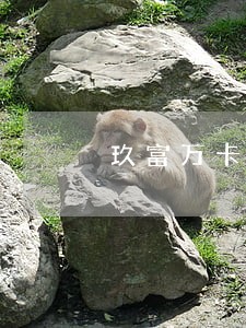 玖富万卡逾期怎么可以再协商分期 玖富万卡逾期怎么可以再协商分期