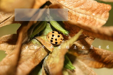 玖富万卡逾期怎么没有爆通讯录 玖富万卡逾期怎么没有爆通讯录