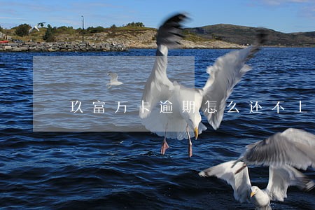 玖富万卡逾期怎么还不上 玖富万卡逾期怎么还不上