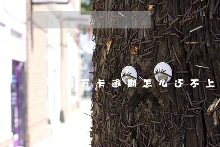 玖富万卡逾期怎么还不上去 玖富万卡逾期怎么还不上去