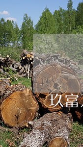 玖富万卡逾期总接到外访通知 玖富万卡逾期总接到外访通知