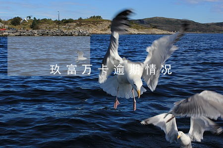 玖富万卡逾期情况 玖富万卡逾期情况