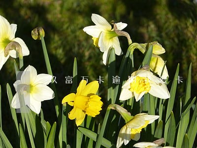 玖富万卡逾期我爱卡 玖富万卡逾期我爱卡