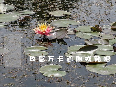 玖富万卡逾期戒赌吧 玖富万卡逾期戒赌吧